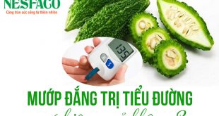 mướp đắng chữa tiểu đường