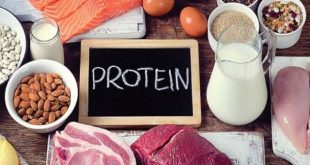 Protein đóng vai trò rất quan trọng trong việc tạo ra năng lượng và tăng cường sức khỏe cho cơ thể