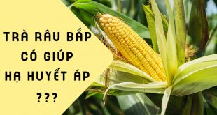 Trà râu bắp giúp hạn huyết áp