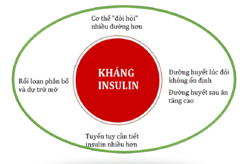 ung-dung-co-che-khang-lai-insulin-trong-dieu-tri-tieu-duong