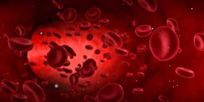 Những nhóm máu nào có thể nhận máu từ nhóm máu B Rh dương?
