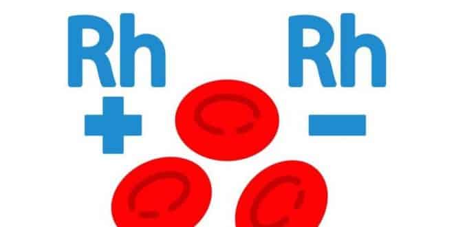 Tính cách ngoại hướng hay hướng nội có phổ biến trong nhóm máu O Rh không?
