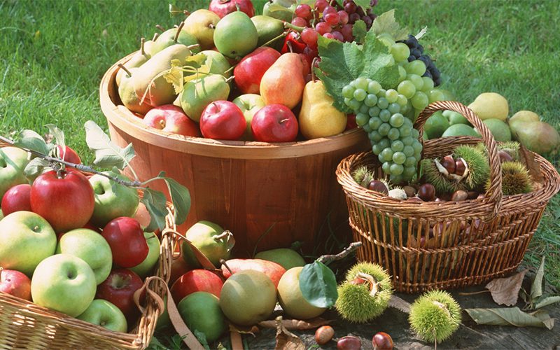 Trái cây là 1 trong 10 thực phẩm tốt cho xương khớp
